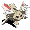kenoki
